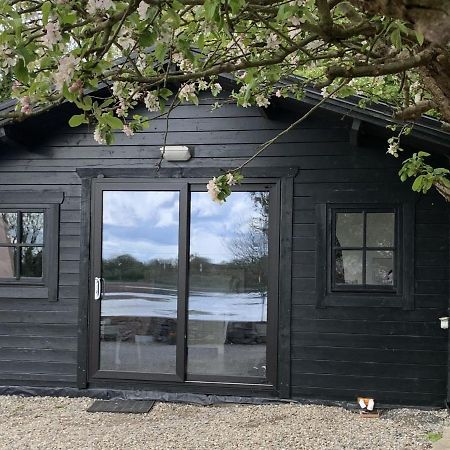 The Cosy Cabin By The Shore غالواي المظهر الخارجي الصورة