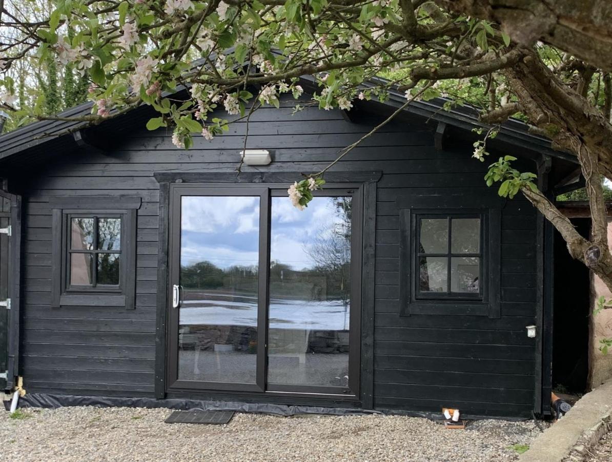 The Cosy Cabin By The Shore غالواي المظهر الخارجي الصورة