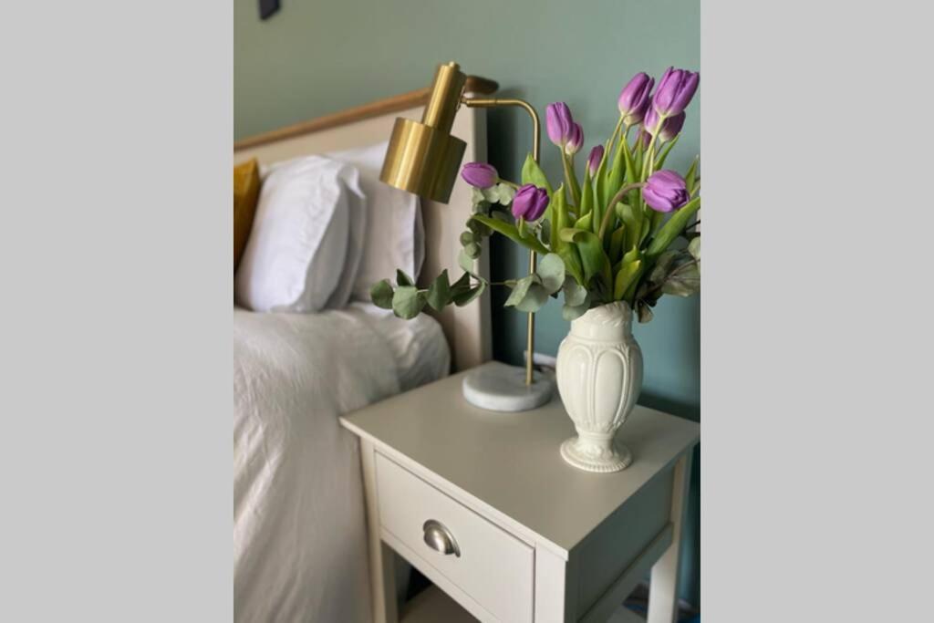 The Cosy Cabin By The Shore غالواي المظهر الخارجي الصورة